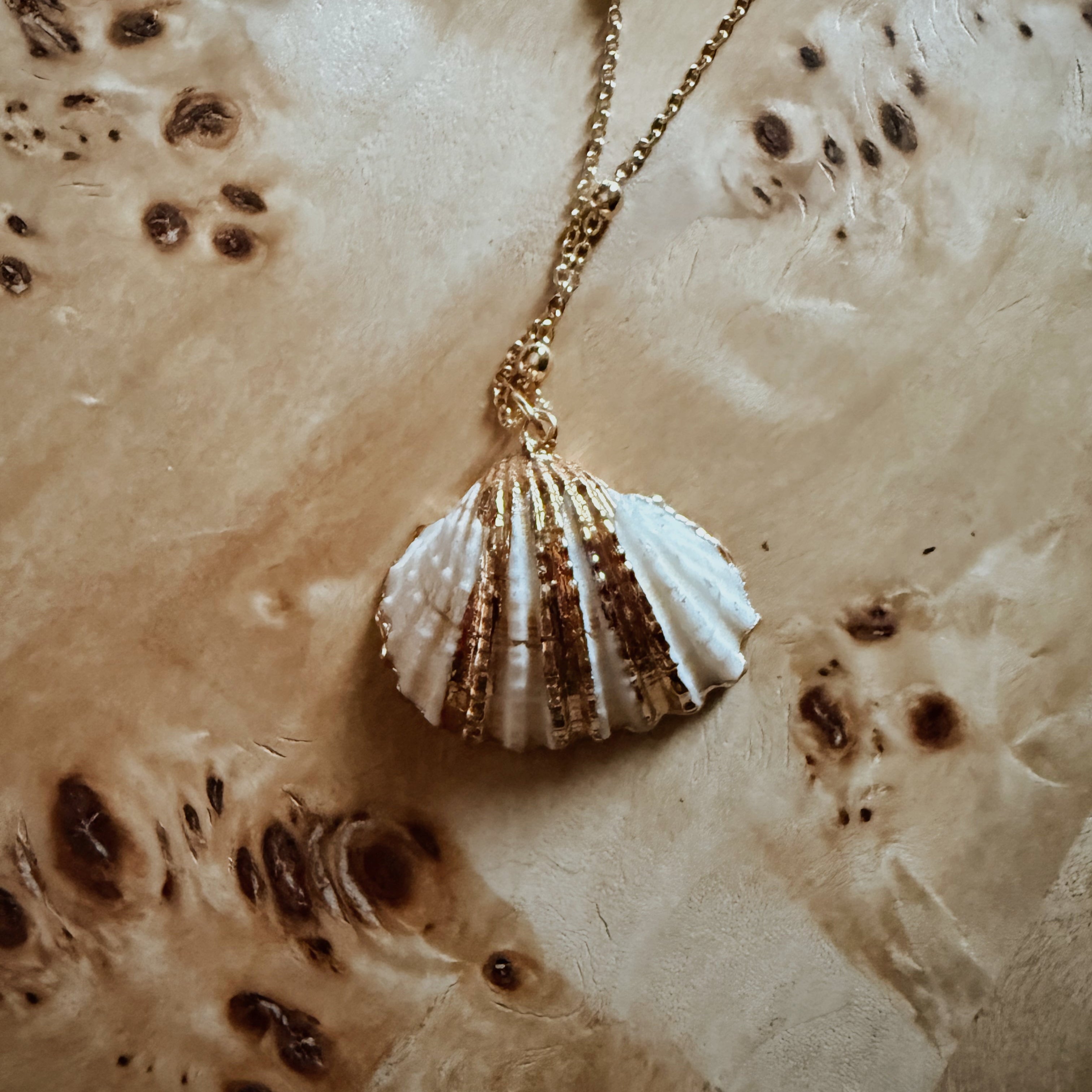 Dipped Scallop - Handmade Gold Dipped Seashell Pendant Necklace – Beach Jewelry Gift