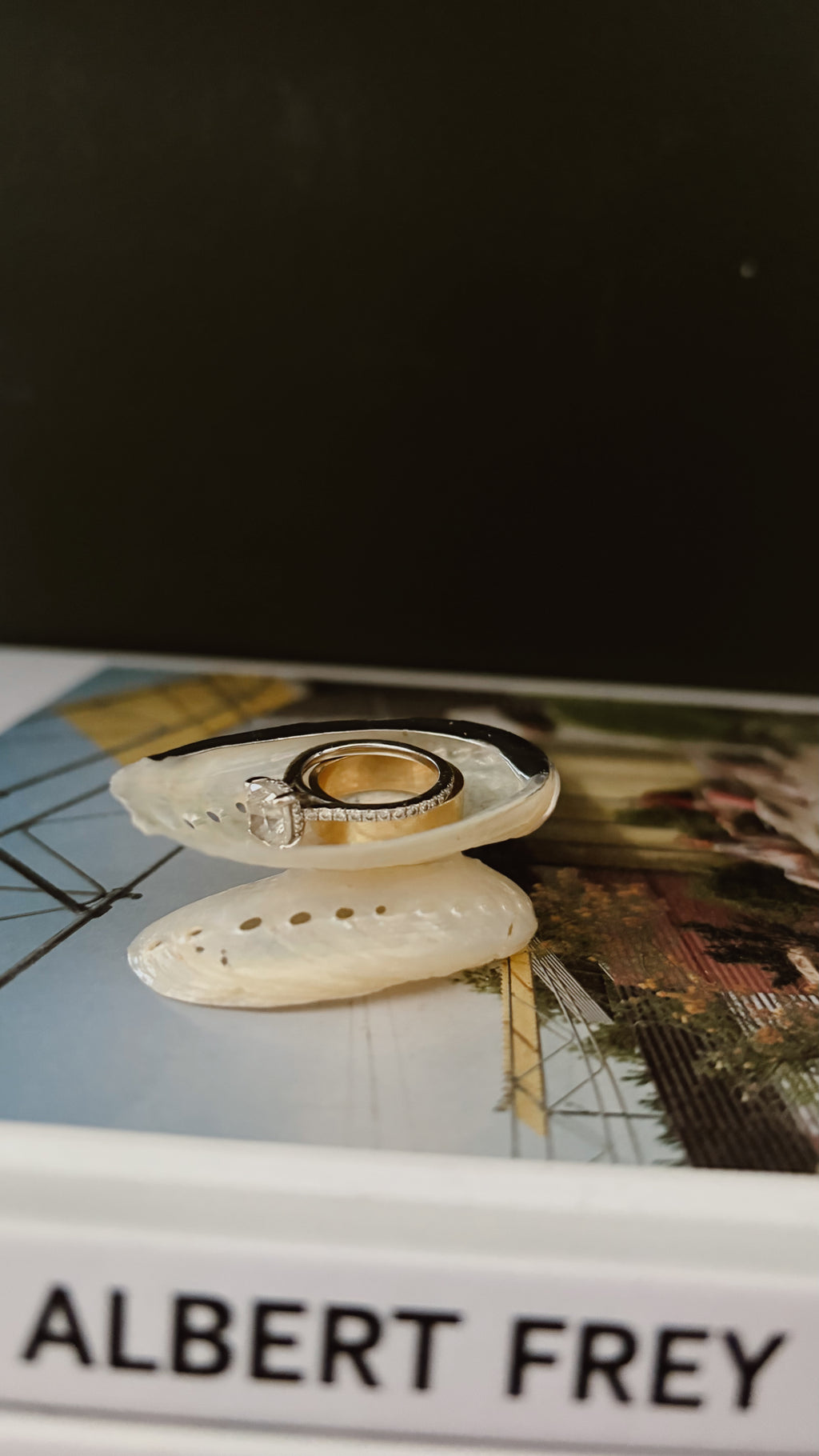 Abalone Shell Ring Catch