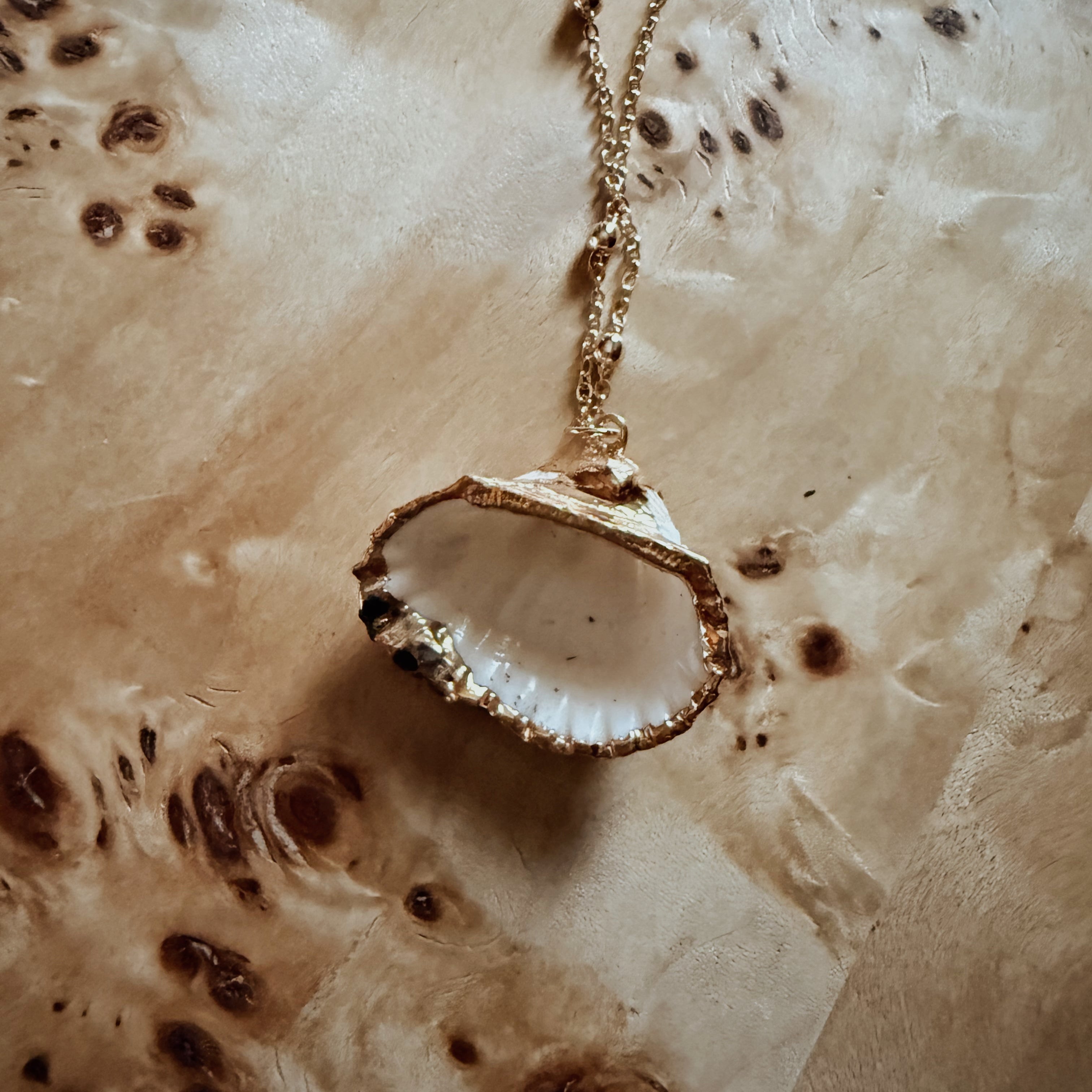 Dipped Scallop - Handmade Gold Dipped Seashell Pendant Necklace – Beach Jewelry Gift