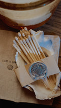 Oyster Shell Match Holder with Matches and Striker