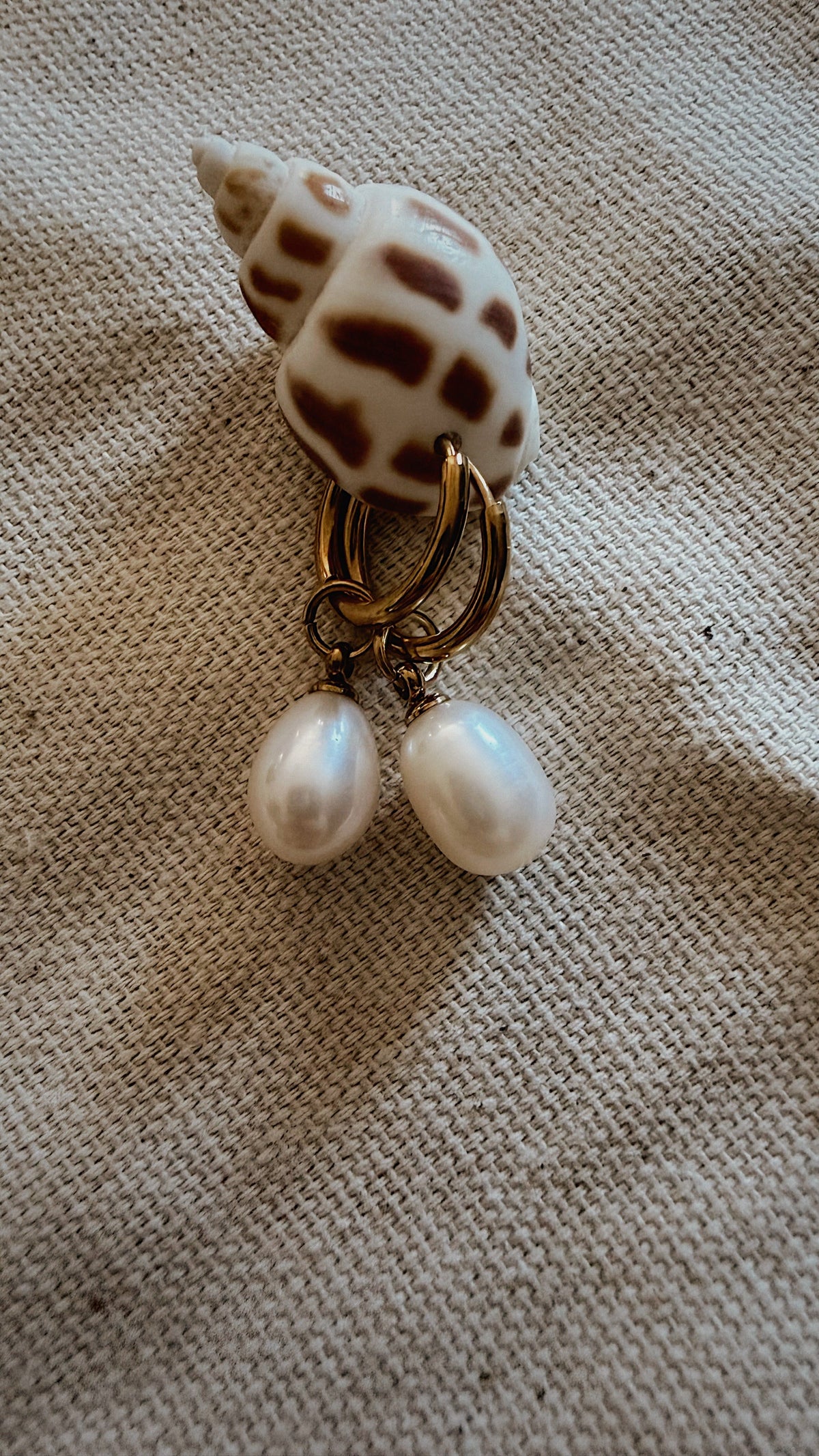 Gold hoop earrings with teardrop pearl drops close-up on spotted shell