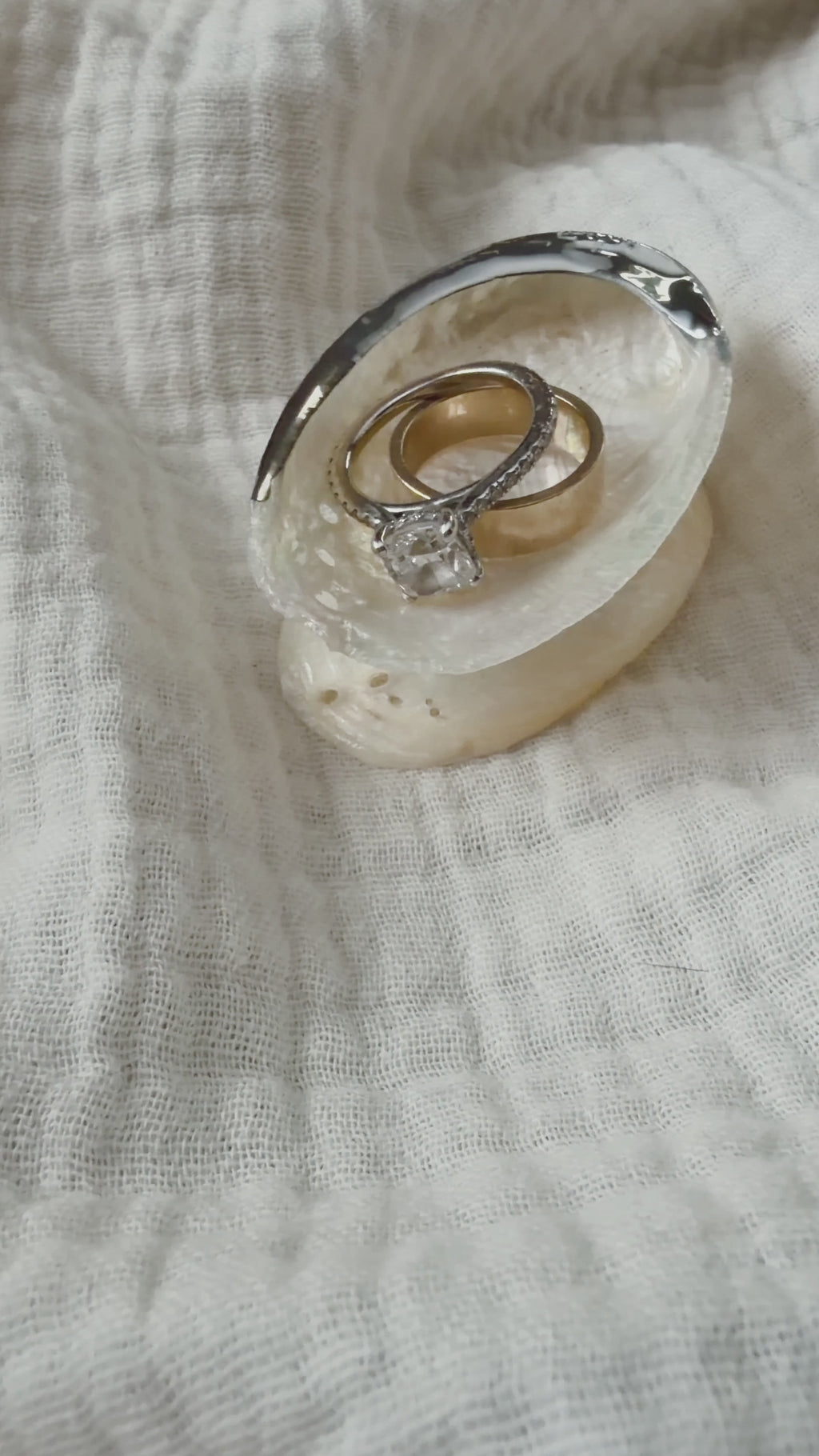 Abalone Shell Ring Catch
